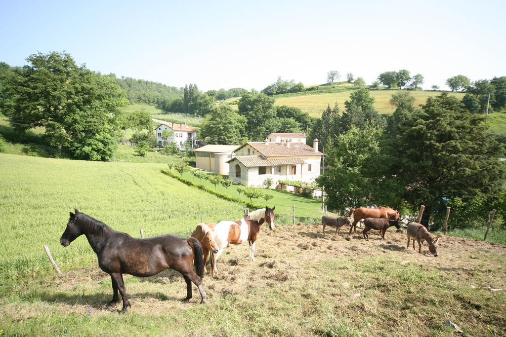 Borgo Di Cortolla Βίλα Pietralunga  Εξωτερικό φωτογραφία